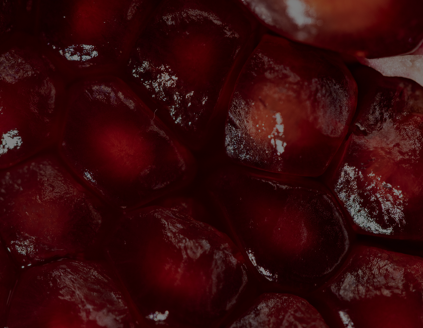 Banner image for desktop 